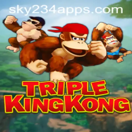 SKY234.COM Casino App